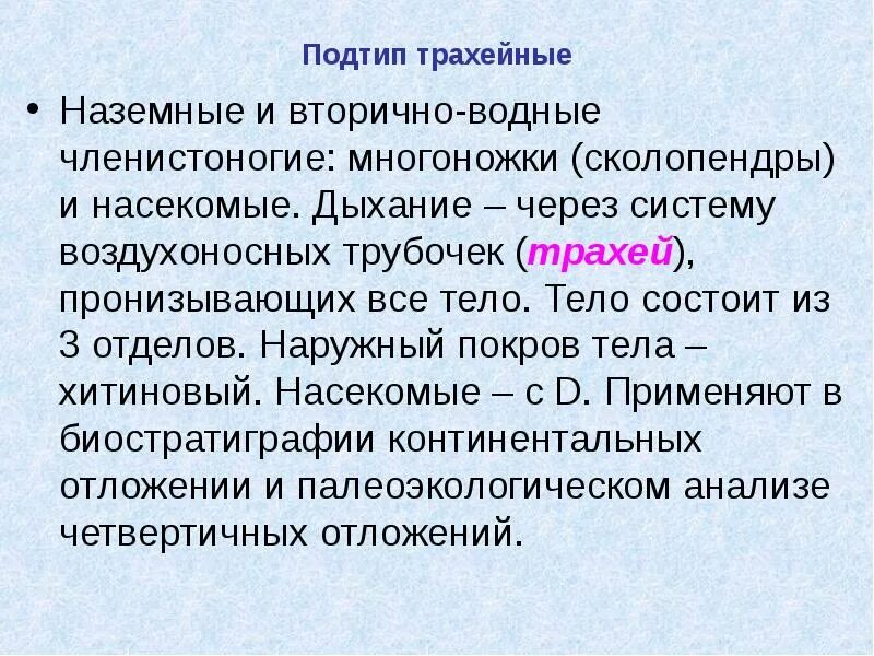 Подтип трахейные. Подтип трахейные (Tracheata. Вторичноназемные. Вторично водные Органищмы. В чем особенность трахейного дыхания