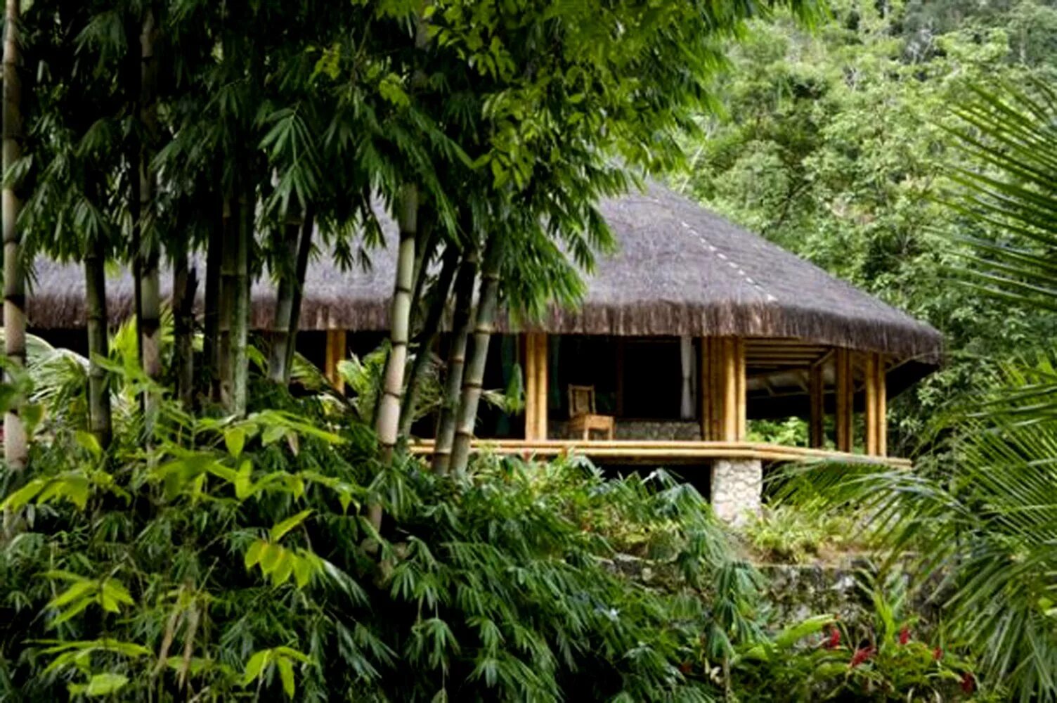Вьетнам деревня в джунглях. Отели в джунглях тайланда. Убуд бали. Хижина в джунглях таиланда. Жизнь в джунглях малайзия загородная жизнь.