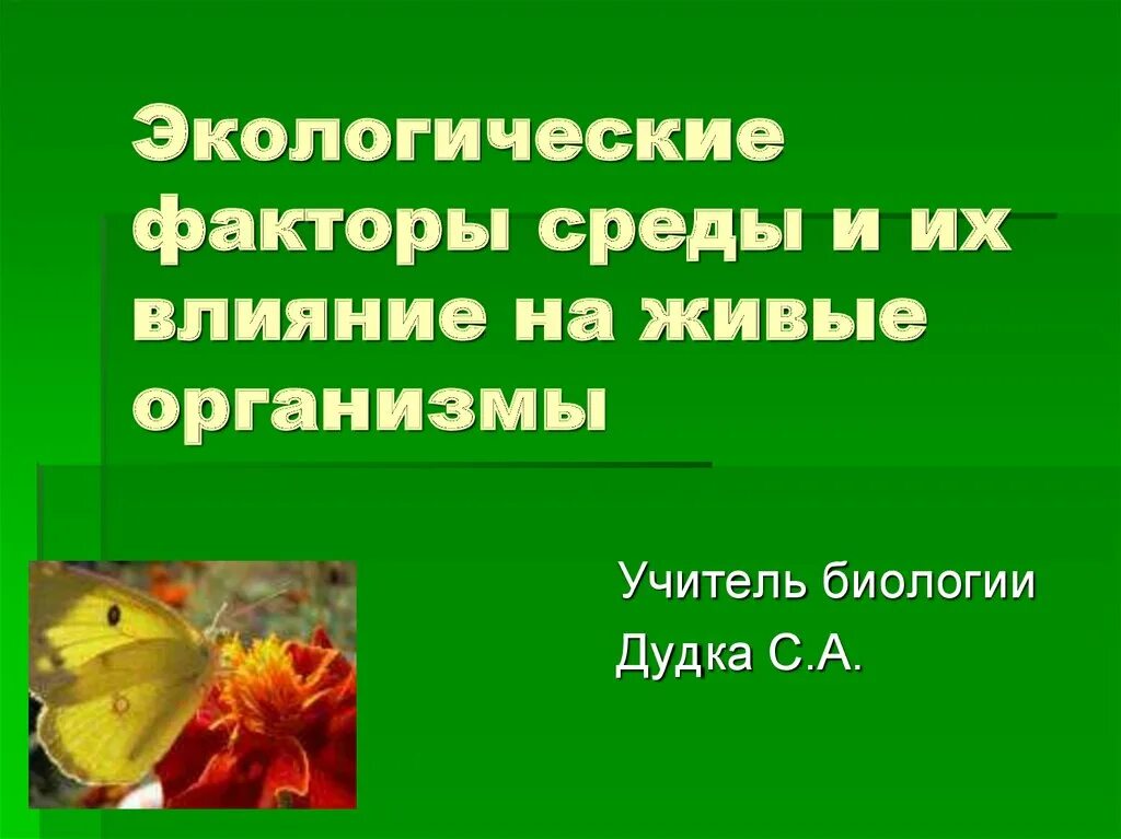 Как воздействуют на живые организмы. Влияние абиотических факторов на организмы. Воздействие абиотических факторов. Влияние абиотических факторов на живые организмы. Влияние факторов среды на организм.