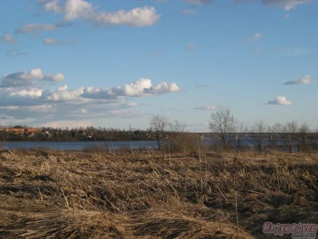 Погода чудово на 10 дней новгородской области. Деревня Пшеничище. Урочище Пшеничище. Пляж в Чудово. Деревня Облучье Чудовский район Новгородская область.