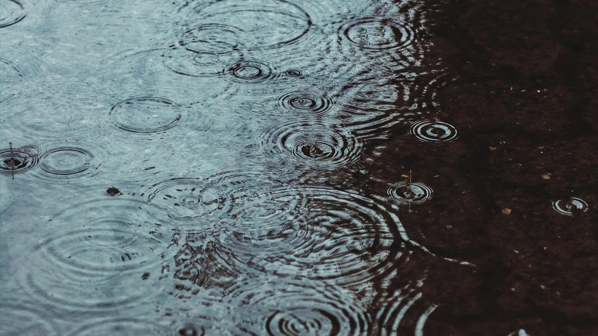 Капли дождя на асфальте. Обои дождь. Капли дождя в луже. Брызги от капель дождя. Везде лужи воды