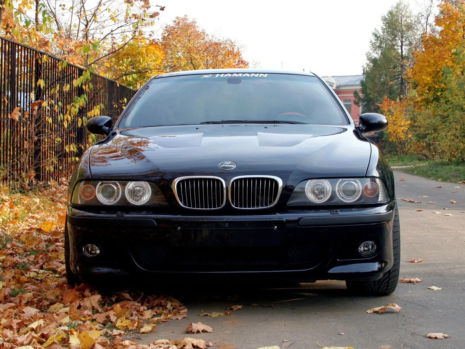 BMW 5 е39. BMW e39 бумер. BMW 5 2001 e39. BMW e39 дорестайл. М5 дорест