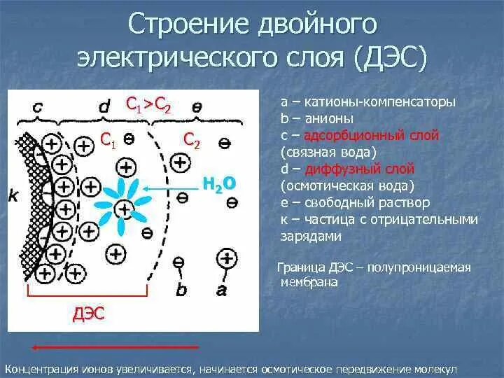 Диффузный слой. Строение двойного электрического слоя дэс. строение дэс коллоидная химия. дэс коллоидная химия двойной электрический слой. двойной электрический слой его строение.