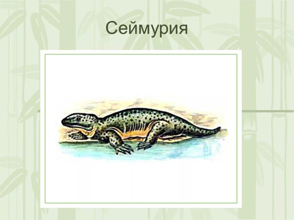 Рассмотри рисунки о каком нибудь пресмыкающемся