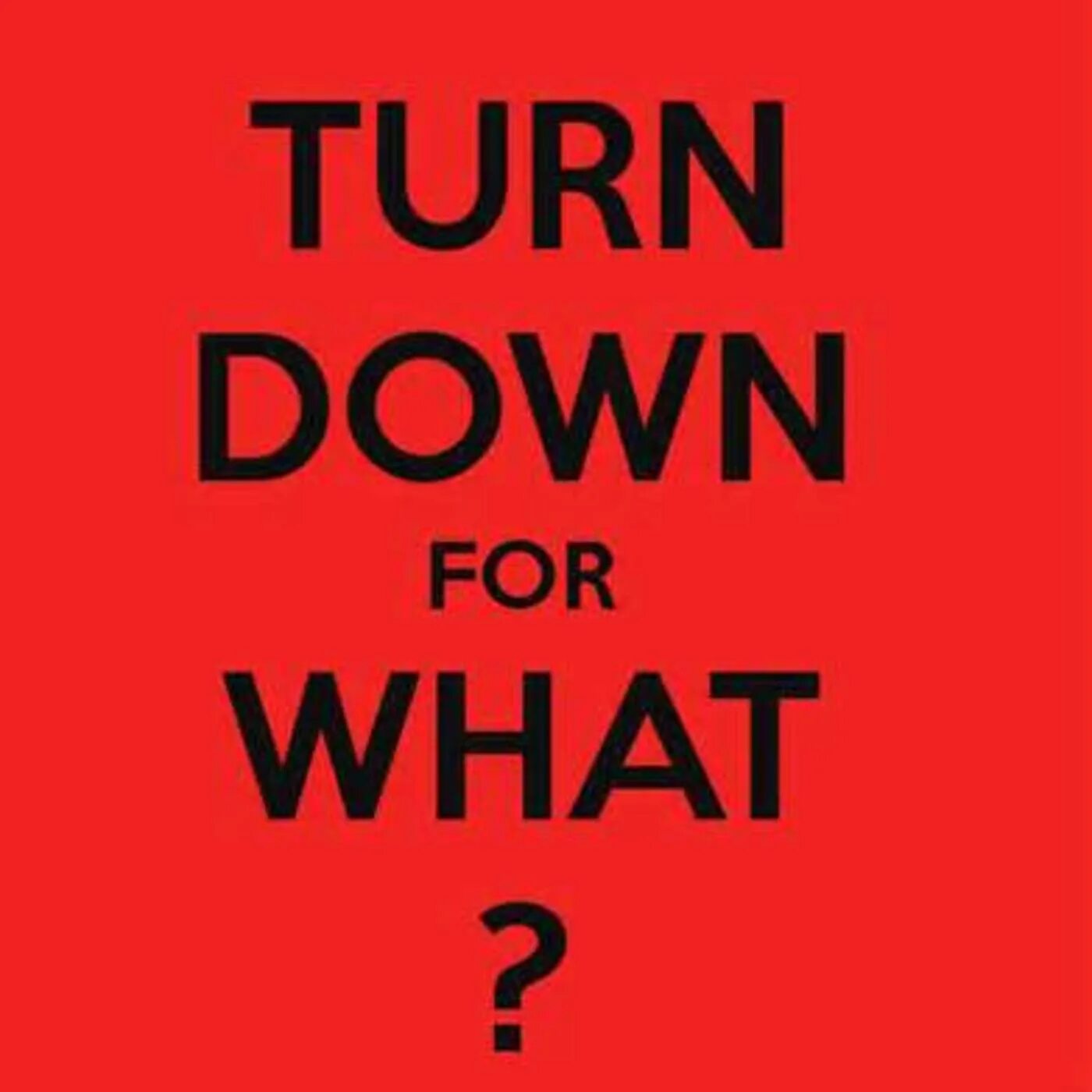 Can you turn it down. Turn down for what. Burn down for what. Song turn down for what. What for.