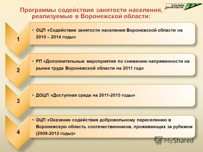 региональные программы содействия занятости
