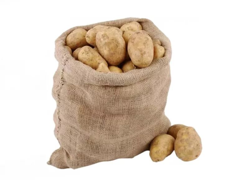 мешок коричневый для картошки. джутовый мешок для картофеля. картофель в мешках. мешок картошки 50 кг. мешочек картошки.