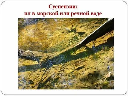 Что такое речной