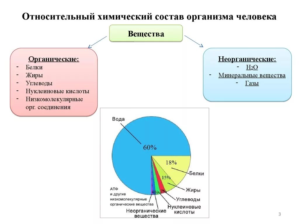 Состав насколько. Химические элементы в составе организма человека. Элементный состав организма человека.