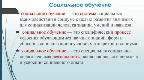 Общее социальное образование это