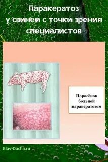 Паракератоз это