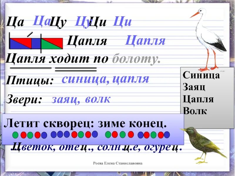 Цапля звуковая схема. Звуковой домик для слова цапля. Цапля птица а синица. Звуковая схема слова цапля.