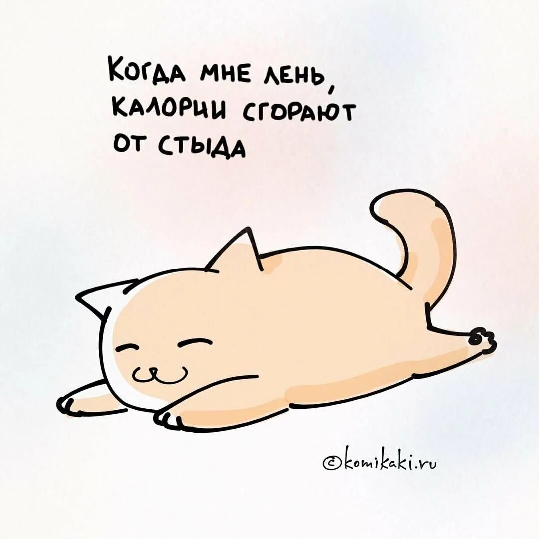 Картинки про лень прикольные