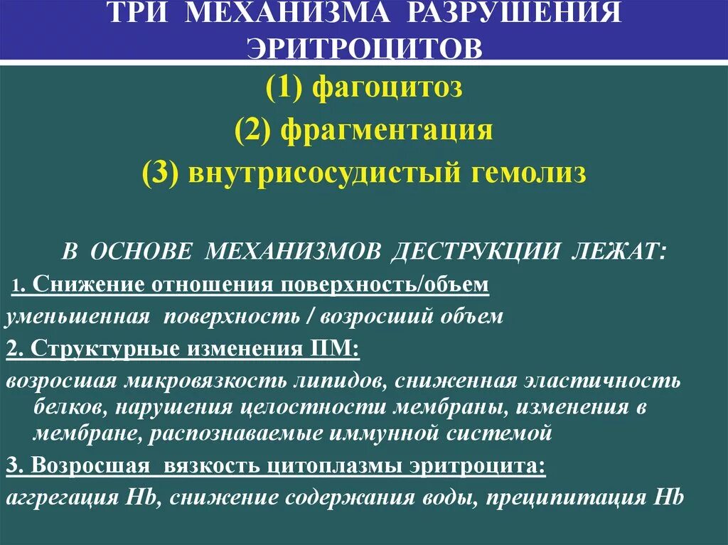 Разрушающий механизм. Механизм разрушения эритроцитов. Способы разрушения эритроцитов. Механизм разрушения клеток. Механизм гемолиза эритроцитов.