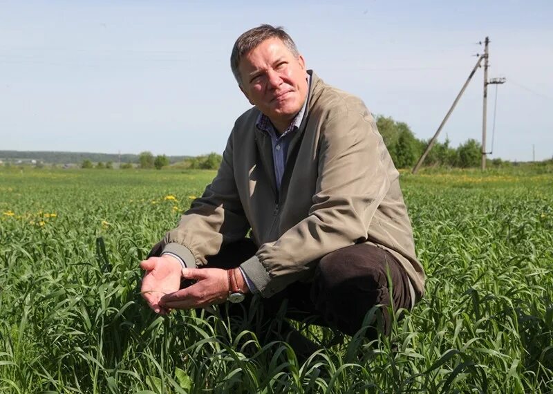 фанерный комбинат новатор. хозяйство вологды. коровы вологодская область. вологда сельское хозяйство. хозяйство вологды.