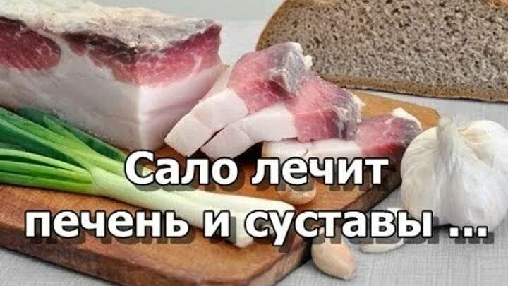 Лечебное сало. Полезно есть сало. Что полезного в Сале. Чем полезно сало.