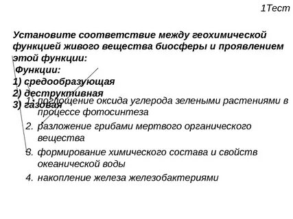 Что понимают под средообразующей ролью живых организмов