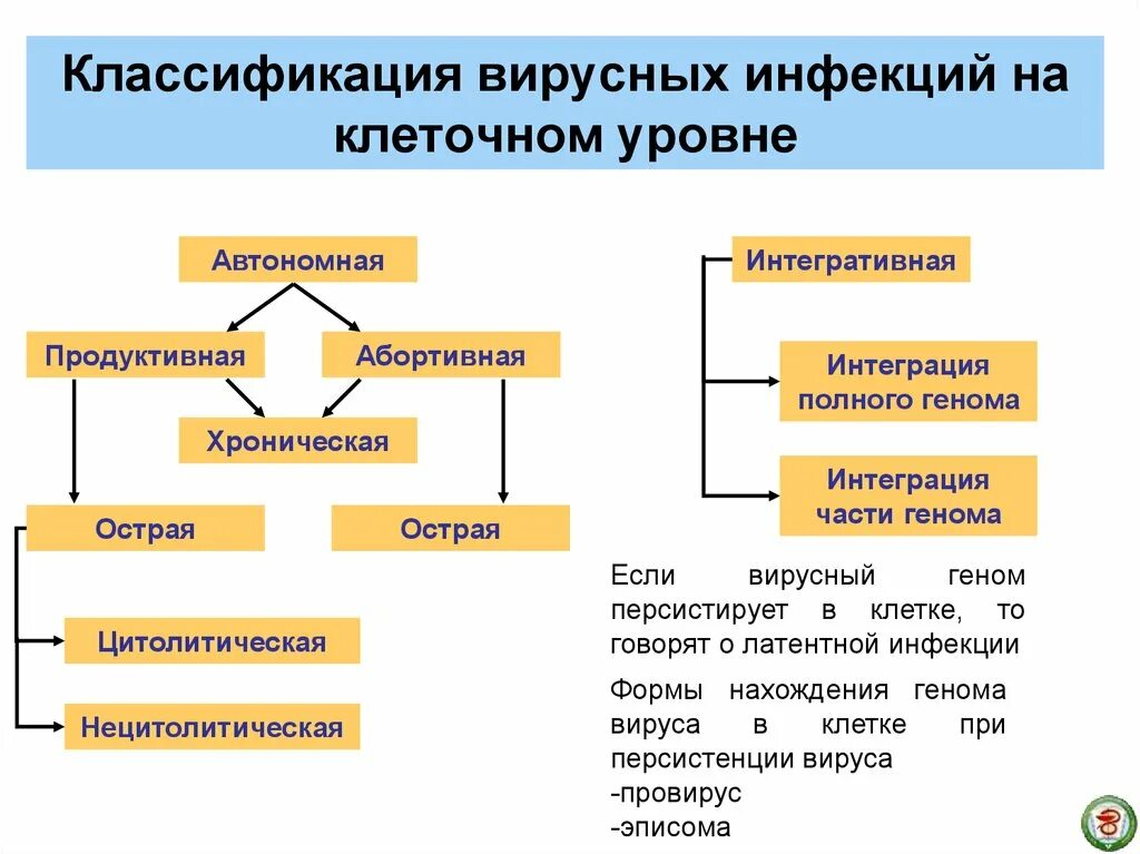 Группы вирусных инфекций. Классификация вирусных инфекций. Классификация вирусов микробиология. Вирусы инфекции классификация. Схема вирусные заболевания.