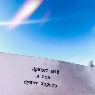 Фраза месяца