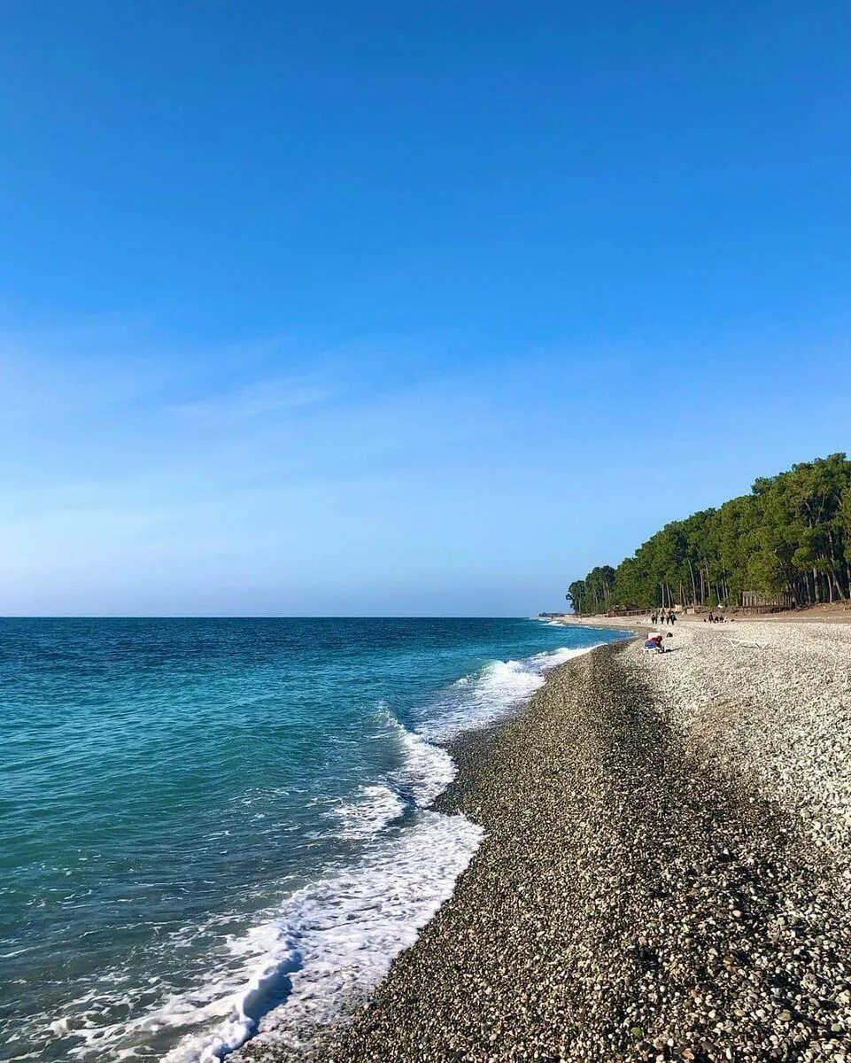 абхазия пляжная. пляж бичвинта пицунда. цандрипш абхазия. пицундо-мюссерский заповедник. пляж пицунда абхазия 2022.