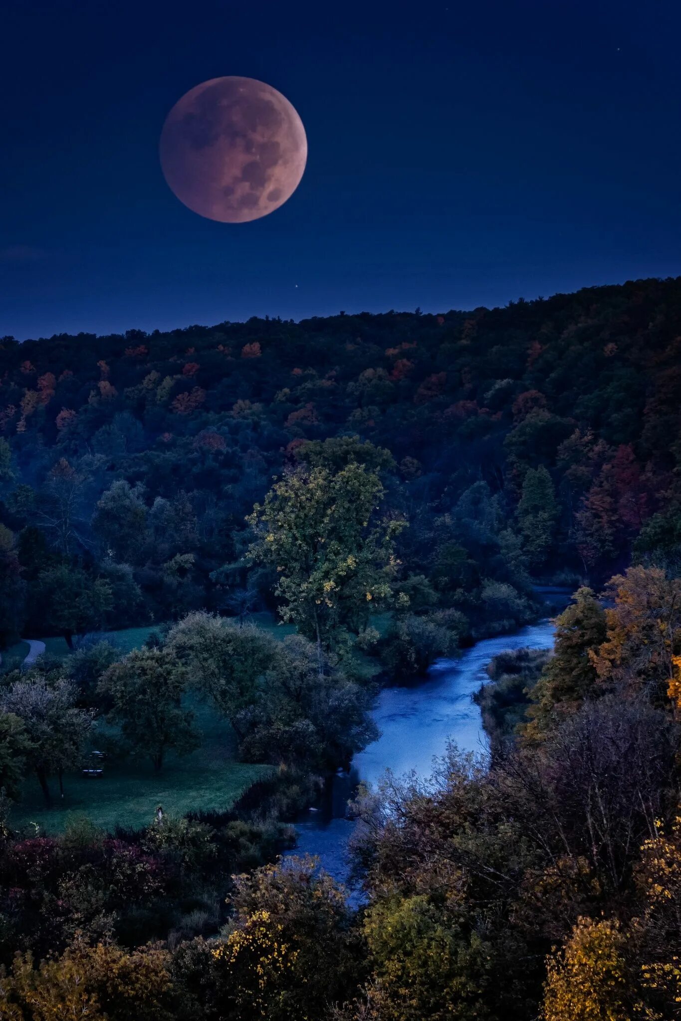 Ночь картинки красивые. Ночной пейзаж. Природа ночью. Ночь Луна. Луна в лесу.