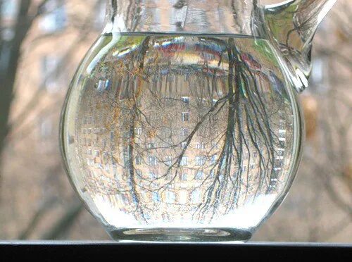 Цветок сосуд с водой. Сосуд с водой. Графин "вода". Красивый сосуд с водой. Сосуд красивый прозрачный.