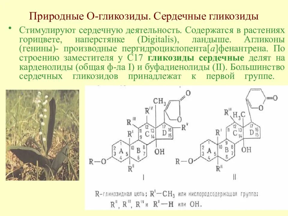 Распад растений. Химическая структура сердечных гликозидов. Строение сердечных гликозидов химия. Сердечные гликозиды строение биороль. Агликон сердечных гликозидов.