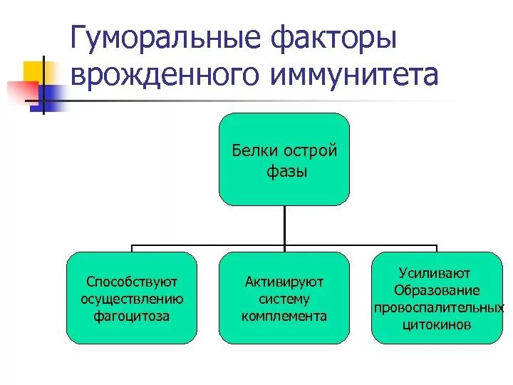 Механизмы регуляции слюноотделения. Гуморальные факторы специфичные для врожденного иммунитета. Факторы гуморального механизма. Классификация по направленности. Гуморальные факторы приобретенного иммунитета.