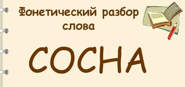 Разбор слова хвойный. Сосна фонетический разбор. Разбери слово фонетика сосна. Фонетика разбор слова сосна. Разбор слова сосна.