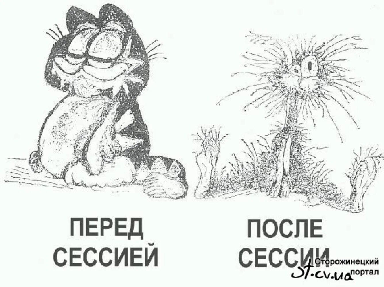 От сессии до сессии живут студенты. Сессия. Сессия рисунок. Сессия приколы. Сессия картинки.