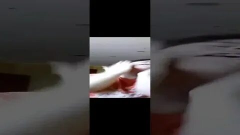 Cdn77 vid mp4