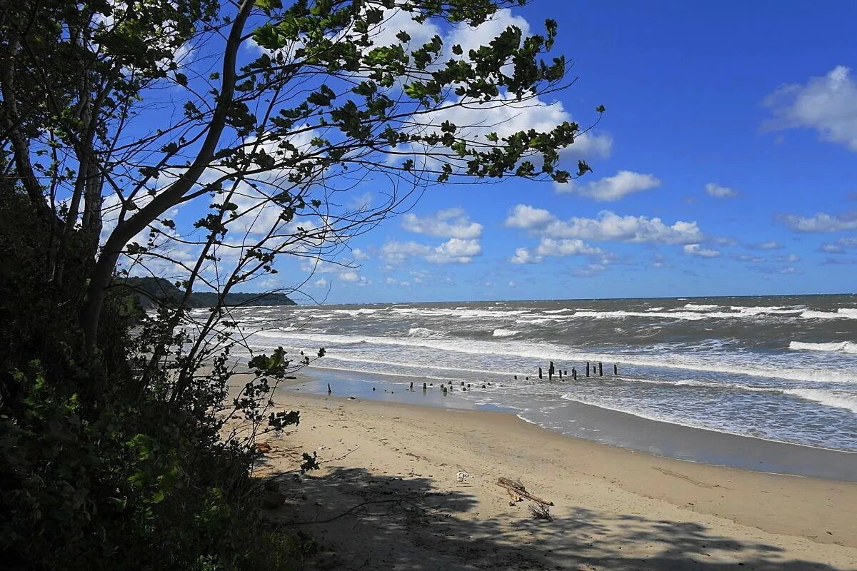 калининград поселок приморье балтийское море. финский залив сосновый бор пляж. балтийское приморье. финский залив балтийского моря питер. балтийское море посёлок приморье.