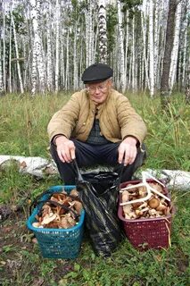 Грибники бузулука
