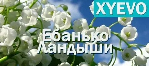 Переделанные песни я подарю вам ландыши