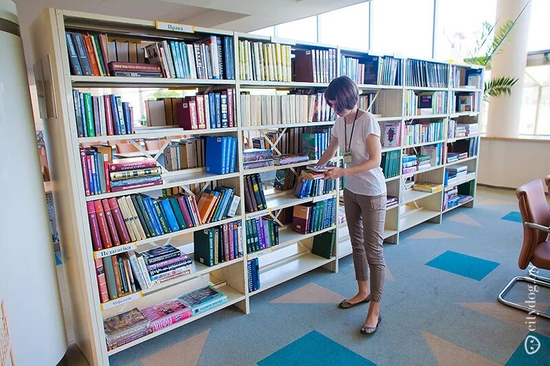 Создание библиотеки книг