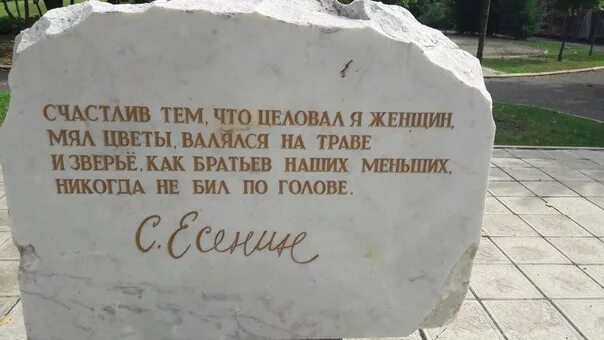 Есенин и зверье как братьев наших меньших. Братьев наших меньших никогда. Братьев наших меньших никогда. Братья наши меньшие фото. Стихотворение о братьях наших меньших.