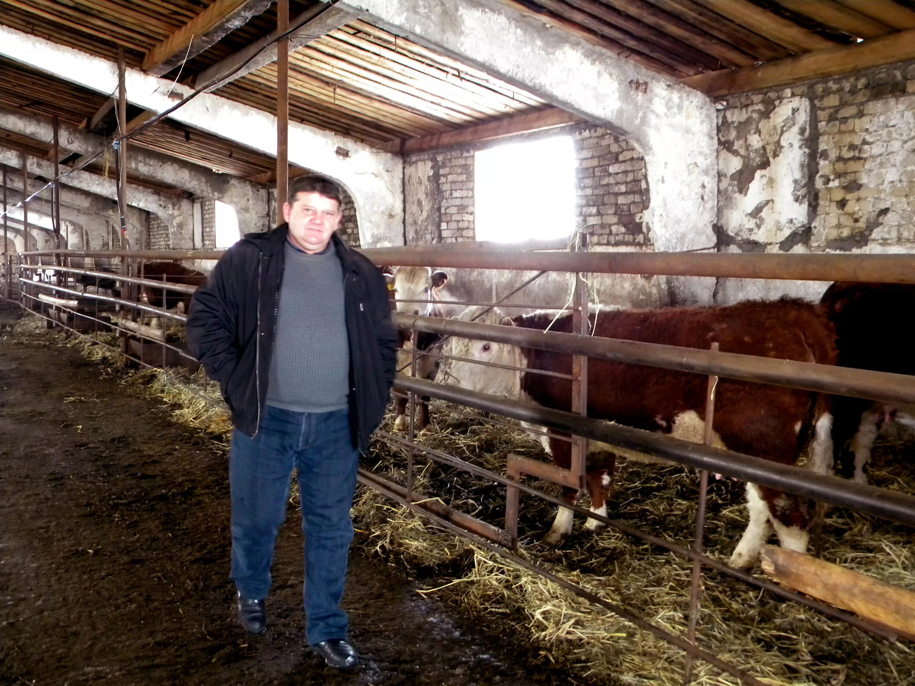 Номер телефона фермерского хозяйства. Номера крестьянское фермерское хозяйство. Номера крестьянское фермерское хозяйство. Крестьянско-фермерское хозяйство сполохи. Номера крестьянское фермерское хозяйство.