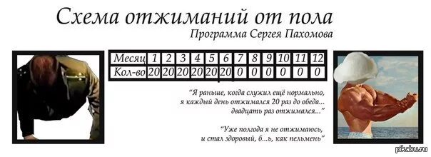 15 20 раз. Программа отжиманий. схема отжиманий. отжимания 20 раз. отжимания демотиватор.
