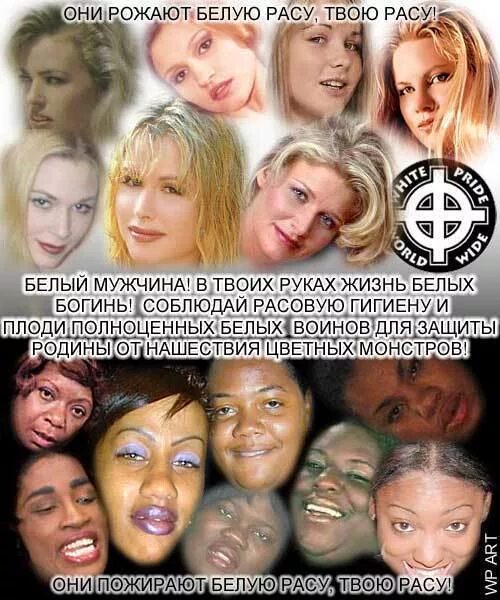 сохранение белой расы. западный балтид раса. вымирание белой расы демотиватор. харийцы дарийцы рассены. признаки белой расы.