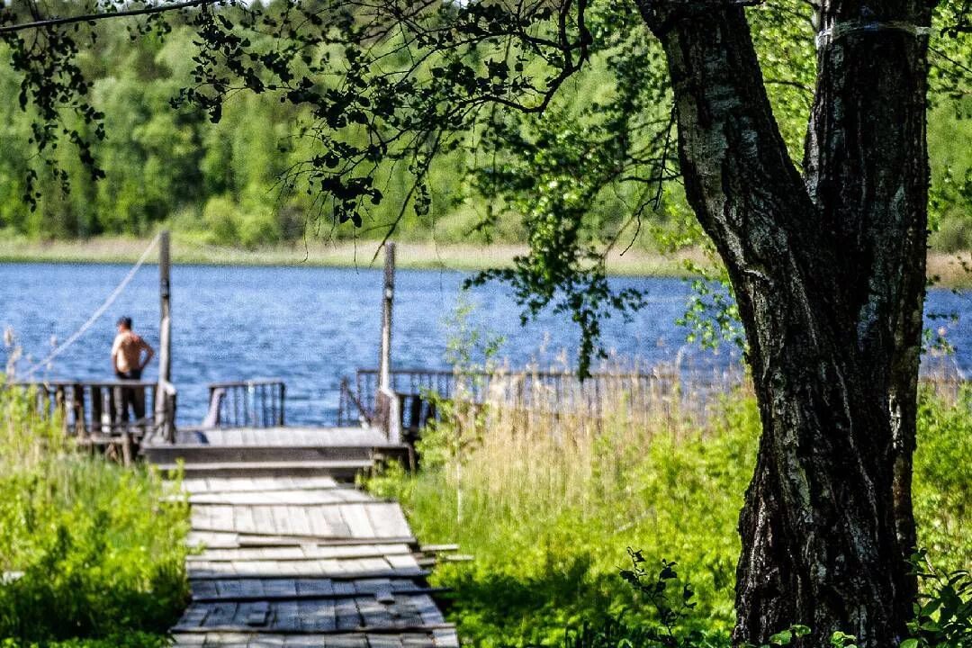 Линево омск. Озеро линево омск. озеро линево муромцевский район. пять озёр омская область линёво. серебряный берег озеро линево.