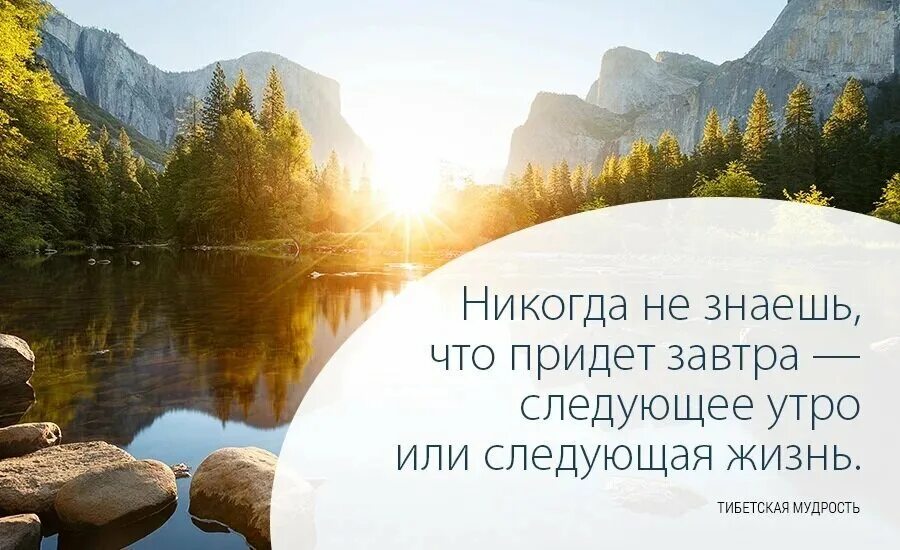 Доброе утро картинки с смыслом о жизни. Мудрость утра. Мудрые высказывания про утро. Афоризмы на каждый день. Мудрые цитаты на каждый день.