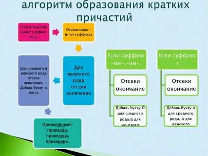 Алгоритм образование
