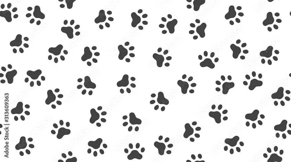 Все лапки в pets go