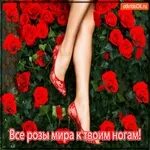 Под твоим ногам