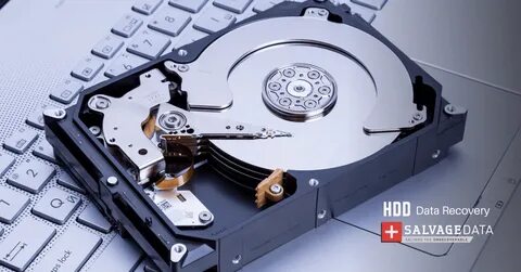 Жесткий диск работает на 100 процентов