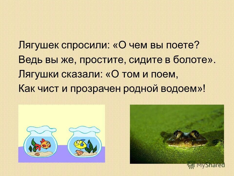 Каждый в своем болоте. Каждая лягушка хвалит свое болото. Каждой лягушке свое болото. Лягушек спросили о чем вы поете. Пословица в родном болоте и лягушка поет.