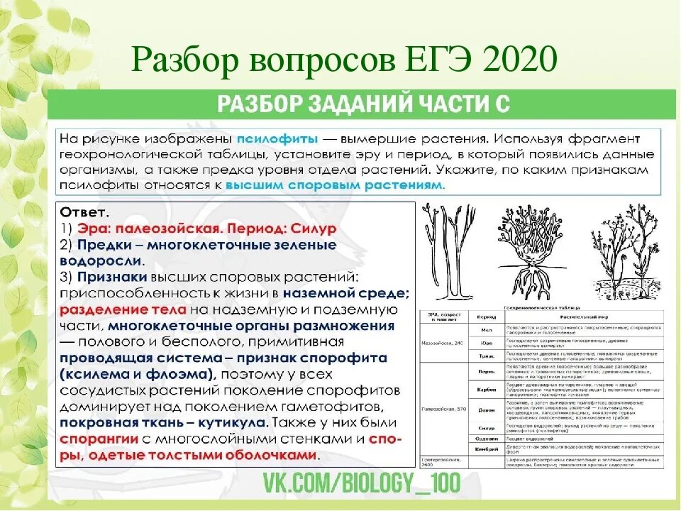 ЕГЭ по биологии задания. Вопросы по биологии ЕГЭ. Вопросы ЕГЭ биология. Задания второй части ЕГЭ по биологии. Сколько сдают биологию