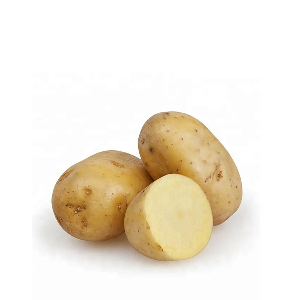 Картофель ласунок купить. Картофель сорт Колумба. Картофель Каратоп. Семена картофеля сорт Коломбо характеристика. Картофель сорт Репанка.