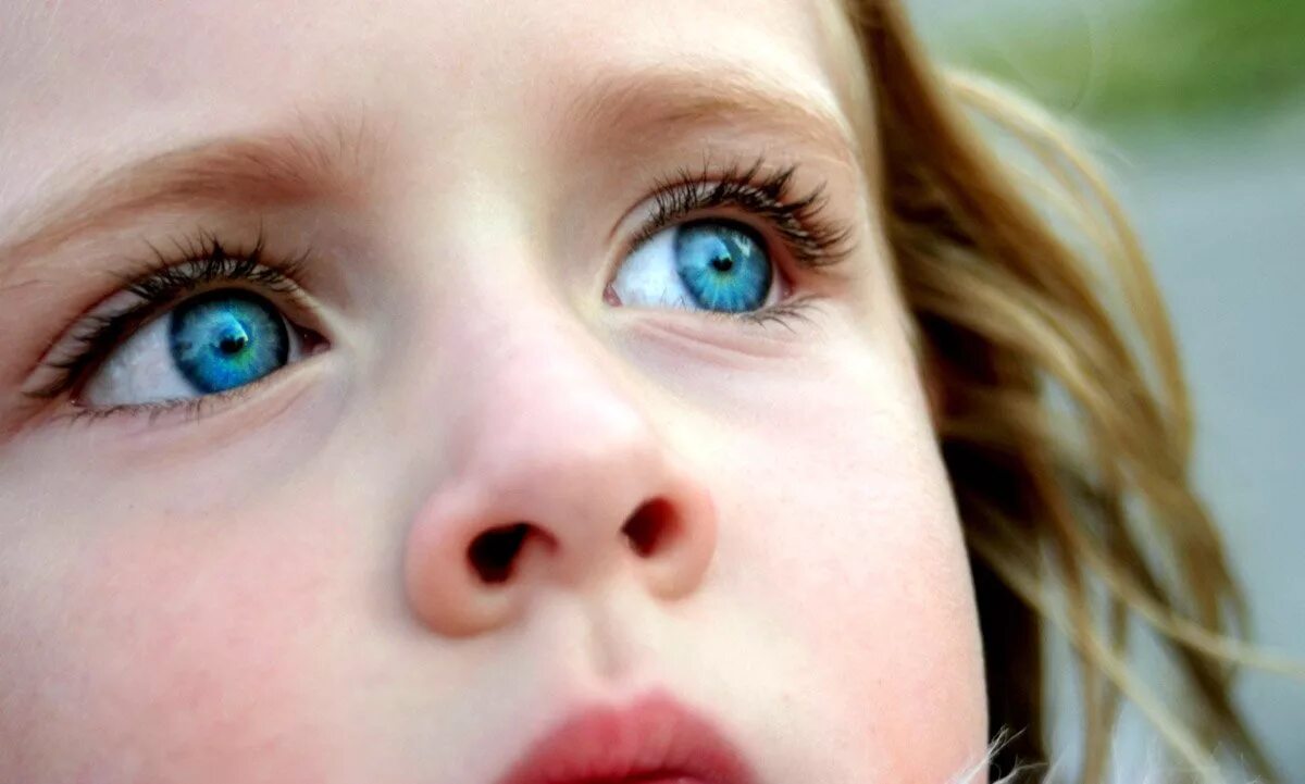 Глаза ребенка. Голубоглазые люди. Голубые глаза. Синие глаза. Почему у ребенка голубые глаза