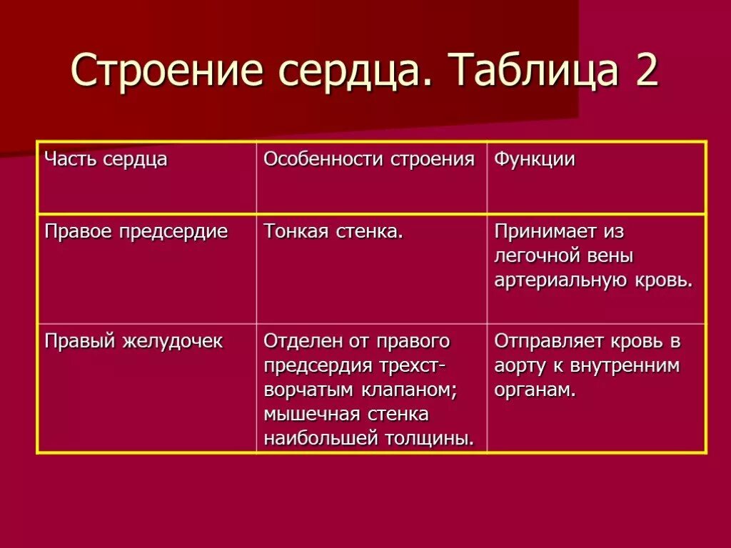 Движение крови биология 8 класс. Сердце строение и функции. Особенности строения правого предсердия. Правое предсердие сердца функции. Строение правого предсердия сердца.